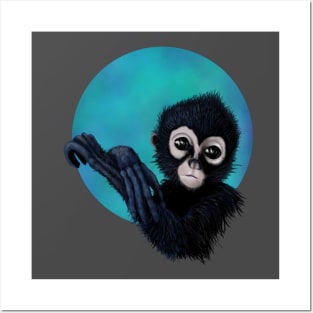 Baby spider monkey Posters and Art